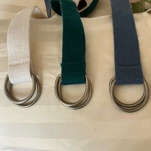 The Limited Canvas Belt Trio - White, Teal & Blue